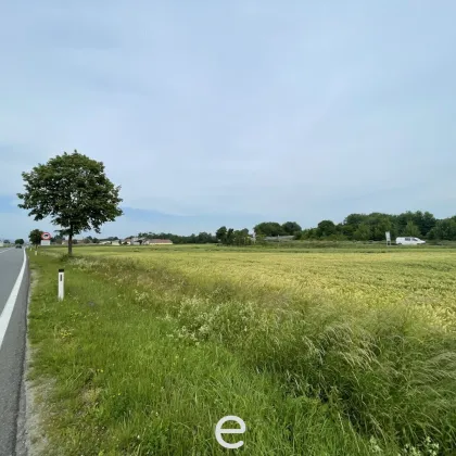 Großes Betriebsbaugrundstück an der A1 zu verkaufen - Bild 2