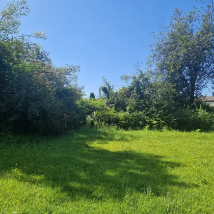 Großzügiger, sonniger Baugrund in ruhiger, teilweise leichter Hanglage mit Bergblick - Bild 2