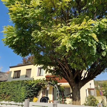 GRINZING - Nähe Weinberge - Doppelhaushälfte am Ende einer Sackgasse - Bild 2