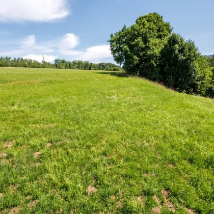 Grundstücks-Juwel in sonniger Naturlage, Salzburg - Itzling - Bild 3