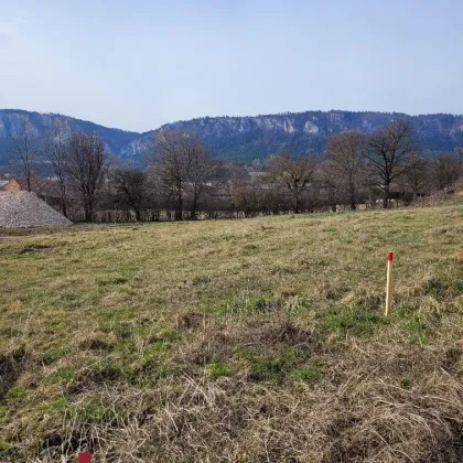 2724 Gaaden,. Bauträgerprojekt, 12 tolle Baugrundstücke in herrlicher Lage,kein Bauzwang, bestens aufgeschlossen, Aufschließungsabgabe entrichtet. - Bild 2