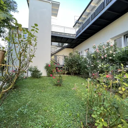 Herrliche Wohnung mit Garten zentral in Mödling - Bild 3
