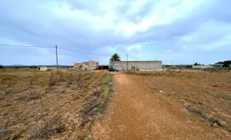 Ebenes Baugrundstück im Süden Mallorcas / Flat building plot in the south of Mallorca