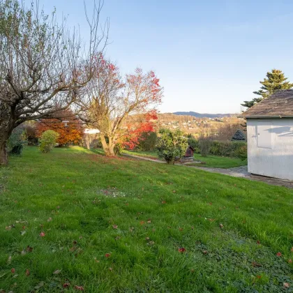 LEONDING: Gartenhaus in Bestlage mit traumhafter Aussicht - Bild 2