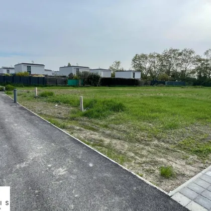 Unbebauter Eigengrund in neu errichteter Kleingartenanlage | 203m² - Nord-Süd-Ausrichtung - Bild 3