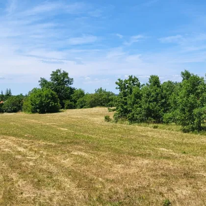 Agrarland 2,2ha, bestens geeignet für Pferde, inkl. 2.500m² Bauland in LABIN - Istrien Kroatien - Bild 3