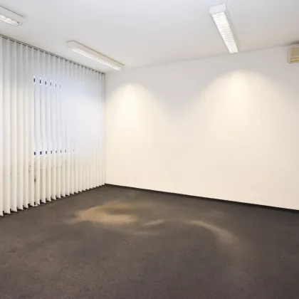 1230 Wien, geräumige Bürofläche - 290 m2 - zu mieten - Bild 3