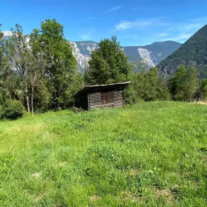 Wiese im vorderen Ötztal - Bild 2