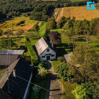 Großes Grundstück mit Ferienhaus – Ein Paradies für Erholungssuchende ! - Bild 2