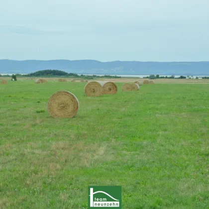 MODERNES, cooles Design, tolle Ausstattung - DURCHDACHTE Grundrisse für Ihren Wohntraum– PANNONIA SEEBLICK- immer Urlaubsfeeling! - Bild 3