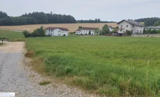 großes Baugrundstück in Taiskirchen - ohne Bauzwang!