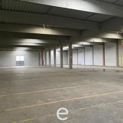 Lagerhalle von 500m² bis ca. 7300m² mit 5x Laderampen in Hörsching zu vermieten kurzfristige Anmietung auch möglich. - Bild 2