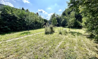 Baugrundstück in Gols in zentraler Lage mit Altbaumbestand