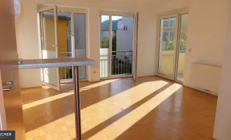 Vermietete Wohnung- geräumig und gut aufgeteilt - schöner Balkon