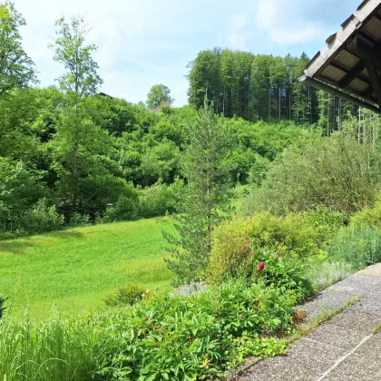 Kraftquelle Natur! Haus am Waldesrand in absoluter Ruhelage - Nähe Altmünster - Bild 3