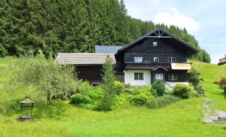 Kraftquelle Natur! Haus am Waldesrand in absoluter Ruhelage - Nähe Altmünster