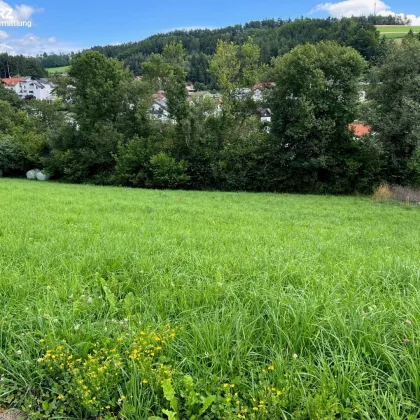 Sommer im Eigenheim - Bild 3