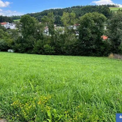 Schöner Baugrund mit Fernblick - Bild 3