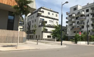 3 Zimmer-Wohnungen mit Balkon  in Miete (Baugruppe)