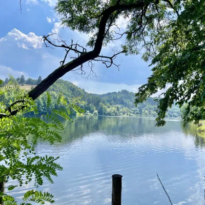 Exklusives Haus am See - eine Stunde nordwestlich von Wien | elektr. Bootshebeanlage - Bild 2