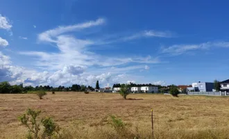 Baugrundstück mit Privatstraße und Anschlüssen für Strom Kanal, Wasser, Glasfaser-Internet in Gänserndorf-Süd: Ruhige Grünlage!