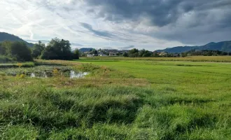 Schönes, ebenes Grundstück zur Freizeitgestaltung mit großem Teich,      ca. 13.600 m² in Völkermarkt