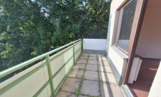 Grün + Ruhe + Balkon + 3 Zimmer Nähe Schwarzenberg Park warten auf Sie