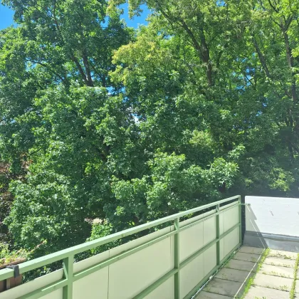 Grün + Ruhe + Balkon + 3 Zimmer Nähe Schwarzenberg Park warten auf Sie - Bild 3