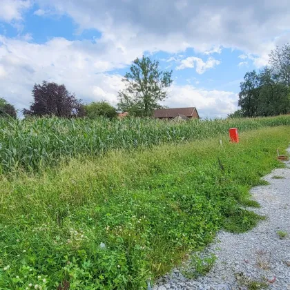 Baugrundstück in wirklich schöner Siedlungslage - Bild 3