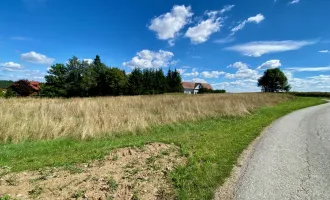 Grundstück Nähe Zwettl - Herrliche Lage für Projekt-Entwicklung