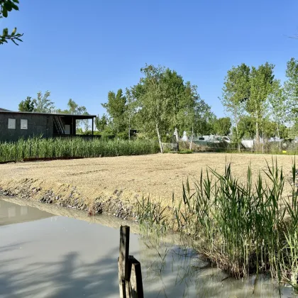 Seegrundstück im Refugium in Neusiedl am See - Bild 3