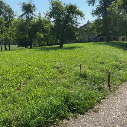 987 m² Bauland mit Widmung Dorfgebiet in Engerwitzdorf/Edtsdorf ohne Bauzwang - Bild 3