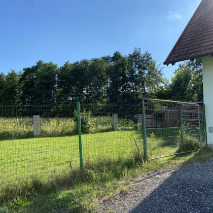 ALLEINLAGE ! Großes Wohnhaus mit 2000m2 Grundstück - Bild 3