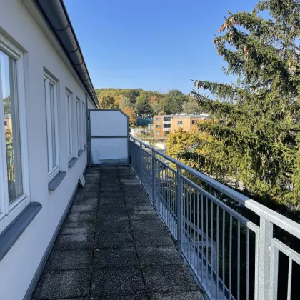 Vollmöblierte Zweizimmerwohnung mit Terrasse und Fernblick - Bild 3