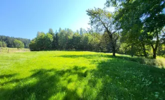 "  RESERVIERT  "  Landwirtschaftliche Nutzfläche inkl. Baugrund in sonniger Ruhe-, Südhang- und Aussichtslage mit ländlichem Charakter in Stadtnähe