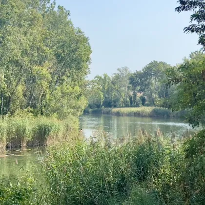 Baugrundstück mit Potenzial in bester Lage ! 150m zum Mühlwasser und Lobau - Bild 2