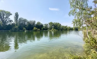 Baugrundstück mit Potenzial in bester Lage ! 150m zum Mühlwasser und Lobau