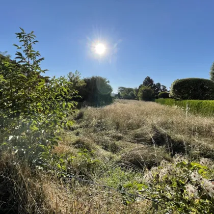 Top Baugrund I Nur noch 6 Parzellen verfügbar | Strasshof - Ruhelage | ideal auch für Bauträger - Bild 2