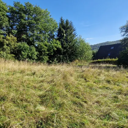 Klosterneuburg: Baugrund in herrlicher, sonniger  Grünruhelage mit guter Infrastruktur - Bild 3