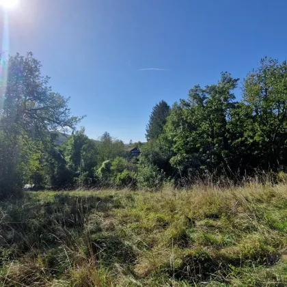 Klosterneuburg: Baugrund in herrlicher, sonniger  Grünruhelage mit guter Infrastruktur - Bild 2