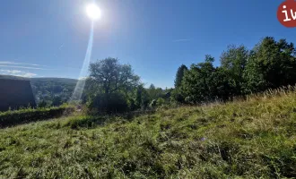 Klosterneuburg: Baugrund in herrlicher, sonniger  Grünruhelage mit guter Infrastruktur