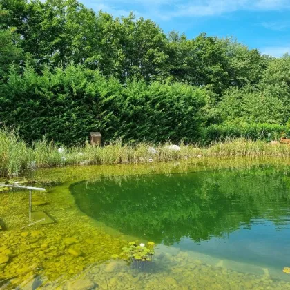 Traum vom Leben am Wasser! - Bild 3