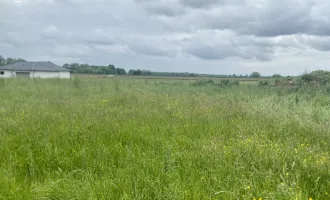 Ruhiges Baugrundstück im Grünen! Hier entsteht Ihr neues Eigenheim! Perfekt für Familien!