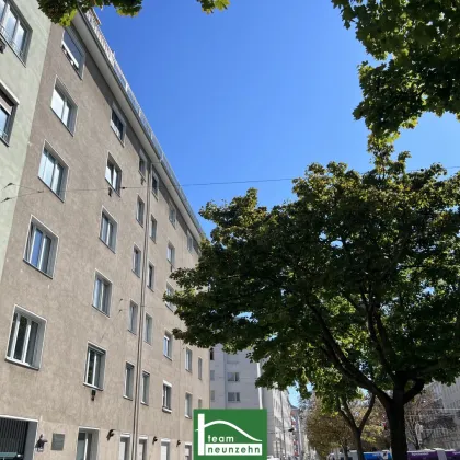 Charmante Wohnung in Augartennähe mit Top-Infrastruktur - Befristete Vermietung bis 30.09.2024 - Bild 2