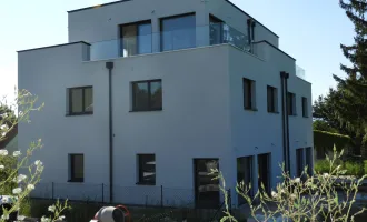 Wunderschöne Doppelhaushälfte PROVISIONSFREI! Mit 172m² Wfl., 5 Zi, Garten, Terrasse 2 Stellplätze in der Nähe von Wiener Neustadt