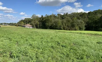 Neubauprojekt in Traumlage von St. Marien - Haus 2