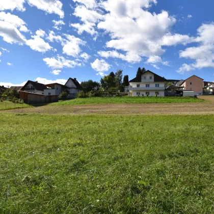 Ihr Traum vom Eigenheim: Baugrundstück in Bad Gams mit sonniger Südausrichtung und allen Anschlüssen an der Grundstücksgrenze in ruhiger Wohnlage wartet auf Sie! - Bild 3