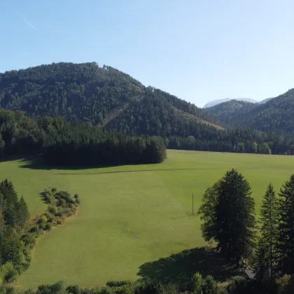 Charmantes Einfamilienhaus in Rohr im Gebirge - Bild 2