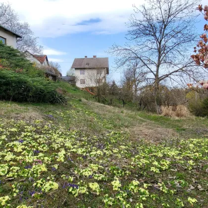 Sonniges Grundstück  - Viel Potential in Toplage - Sanierungsbedürftiges Einfamilienhaus - Bild 3