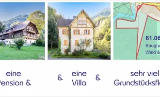 Pension & Gasthof & Villa & Baugrund & Wald & Wiese